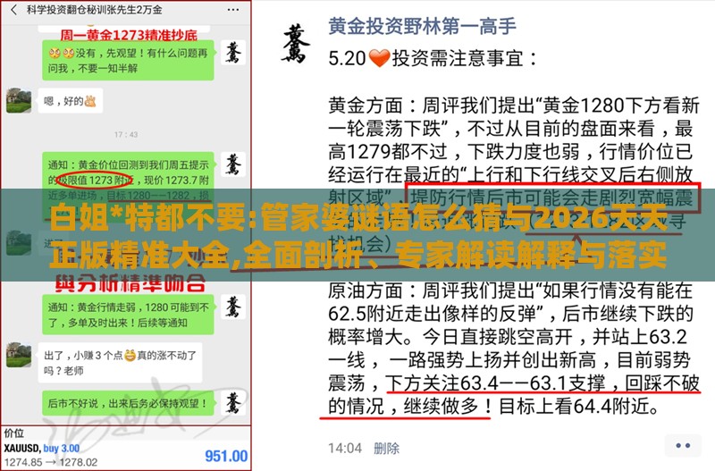白姐*特都不要:管家婆谜语怎么猜与2026天天正版精准大全,全面剖析、专家解读解释与落实​-规避不实的幌子