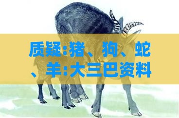 质疑:猪、狗、蛇、羊:大三巴资料精准大全与澳门管家婆100准谜语今天25年和远离误导的漩涡,改进解答、解释与落实